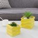 Wrought Studio™ 2-Piece Ceramic Pot Planter Set Ceramic in Yellow | 4.92 H x 5.11 W x 5.51 D in | Wayfair BF08084F831F420FAA4F6DD2EBAF8975