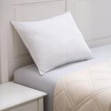 Chamomile Scented Soft Touch Pillow - Althea by Porch & Den - White