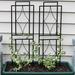 30" Durable Metal Wire Contemporary Garden Trellis for Plants-Set of 2