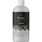 Charcoal Shampoo for Oily Hair - Maple Holistics Clarifying Shampoo for Build Up - Men and Womens Sulfate Free Scalp Detox with Charcoal Shampoo 16 fl oz