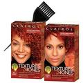 Clairol TEXTURE & TONES Permanent Moisture-Rich Haircolor No Ammonia (w/Sleek Brush) Hair Color Dye Designed for Women of Color (1N NATURAL BLACK)