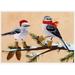 Allport Editions Two Birds in Winter Boots, Scarf & Hat Box of 15 Christmas Cards