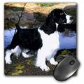 3dRose Black And White Springer Spaniel - Mouse Pad 8 by 8-inch (mp_949_1)