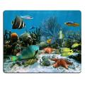 POPCreation Coral garden with starfish and colorful tropical fish Caribbean sea Mouse pads Gaming Mouse Pad 9.84x7.87 inches