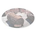 CafePress - Petrified Forest National Park Oval Sticker - Sticker (Oval)