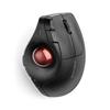 Kensington Pro Fit Ergo Vertical Wireless Trackball - Black