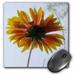 3dRose Orange and Yellow Sunflower - Mouse Pad 8 by 8-inch (mp_15261_1)