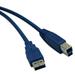 Tripp Lite U322-010 Blue Cable