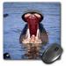 3dRose Hippos with mouth agape Tanzania Africa - NA02 DNO0380 - David Northcott Mouse Pad 8 by 8 inches