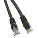 C&E Cat6a 1-Foot 500 MHz Snagless/Molded Boot Ethernet Patch Cable 10-Pack Black (CNE58556)