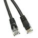 eDragon Cat5e Ethernet Patch Cable Snagless/Molded Boot 25 ft Black Pack of 3