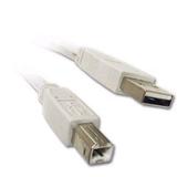 3ft USB Cable for: HP Officejet 6600 e-All-in-One Wireless Color Photo Printer with Scanner Copier and Fax