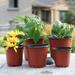 Ludlz 50Pcs Plastic Planter Indoor Flower Pot Mini Plastic Flower Seedling Nursery Pot Garden Plant Pot Home Decoration Plastic Nursery Flower Plant Pot Holder Garden Planter Decor