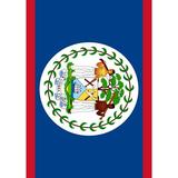 Toland Home Garden Flag of Belize Garden Flag