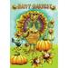 Toland Home Garden Happy Harvest Fall Thanksgiving Flag Double Sided 12x18 Inch
