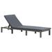 Dcenta Outdoor Sun Lounger with 5 Levels Adjustable Backrest Poly Rattan Cushioned Steel Frame Recliner Lounge Chaise Chair Balcony Patio Poolside Deck Backyard Garden Furniture