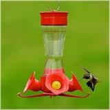 Perky-Pet 203CPBN Pinch Waist Glass Hummingbird Feeder with Free Nectar New