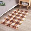 Fennco Styles Multicolor Woven Plaid Hand Knotted Tassel Boho Small Area Rug - Cotton Blend Carpet Indoor Outdoor Floor Mat for Living Room Entryway Bedroom and Floor DÃ©cor