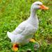 Tebru Duck Statue Garden Decoration Outdoor Simulation White Duck Statue Sculpture Courtyard Garden Decoration