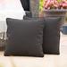 Coronado Outdoor Square Water Resistant Pillow - Set of 2