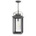 1 Light Medium Outdoor Hanging Lantern In Traditional-Coastal Style 9.5 Inches Wide By 21.5 Inches High-Ash Bronze Finish-Led Lamping Type-120