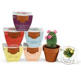 BUZZY Terracotta Mini Grow Pots | Assorted 6-Pack | Classic Collection | Sunflower Daisy Coneflower Cactus Forget-Me-Not Strawberry