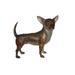 Standing Chihuahua Bronze Statue - Size: 6 L x 16 W x 14 H.