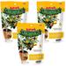 Jobeâ€™s Organics Fruit & Citrus Tree Fertilizer Spikes 3-5-5 Time Release Fertilizer for All Container or Indoor Fruit Trees 6 Spikes per Package (3)