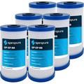 SpiroPure SP-EP-BB 10x4.5 5 Micron NSF Certified Coconut Shell Carbon Block Water Filter Cartridge EP-BB 155548-43 CB-45-1005 (Case of 6)