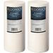 2-pack Bluonics 4.5 x 10 Big Blue Sediment Replacement Water Filters 5-Micron Whole House for Rust Iron Sand Dirt and Undissolved Particles
