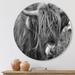 East Urban Home Scottish Cow On Moorland II - Farmhouse Metal Circle Wall Art Metal in Gray | 11 H x 11 W x 1 D in | Wayfair