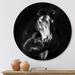 East Urban Home Portrait Of Kladruby Horse - Farmhouse Metal Circle Wall Art Metal in Black | 23 H x 23 W x 1 D in | Wayfair