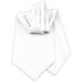 Jacob Alexander Men's Solid Color Cravat Ascot Neck Tie - White