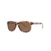 Kenneth Cole Reaction Plastic Frame Light Brown Lens Ladies Sunglasses KC12595552X