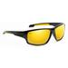 NFL Green Bay Packers Premium NFL Sunglasses, Catch Style