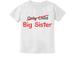 Tstars Girls Big Sister Shirt Best Sister Only Child to Big Sister Cute B Day Gifts for Sister Sis Big Sister Outfit T-Shirt for Daughter Lovely Shirts for Girls Toddler Infant Kids T-Shirt