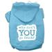 Mirage Pet 62-142 SMBBL You Go Fetch Screen Print Pet Hoodies, Baby Blue - Small