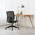 Inbox Zero Low Back Executive Chair Upholstered/Mesh, Leather in Black | 36.8 H x 26 W x 23 D in | Wayfair D331C59DFC6A411C93A80822341C974F