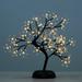 The Holiday Aisle® Crystal Flower Bonsai 36 Light Battery Lighted Trees & Branches in White | 18 H x 5 W x 5 D in | Wayfair YKLTD36B-WW-CL-WF