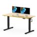Latitude Run® Baysenie Home Office Height Adjustable 55" Width Standing Desk Wood/Metal in Black | 55 W x 28 D in | Wayfair
