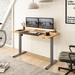 Latitude Run® Baysenie Home Office Height Adjustable 55" Width Standing Desk Wood/Metal in Gray | 55 W x 28 D in | Wayfair