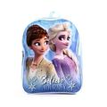 Frozen Backpack 15" Back to School Backpack Elsa and Anna Backpack for Girls Back to School Backpack for Kids