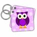 3dRose Cute Purple Owl on Light Purple Background - Key Chains, 2.25 by 2.25-inches, set of 6