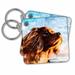 3dRose Portrait of Sweet Cavalier King Charles Spaniel Dog With Sky - Key Chains, 2.25 by 2.25-inch, set of 2