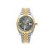 Rolex Datejust 41 Steel Yellow Gold Wimbledon Dial Mens Watch 126303-SLTRJ