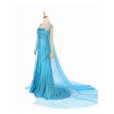 Blue Bling Frozen Elsa Queen Adult Women Party Dress Costume Elsa Dresses