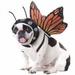 Animal Planets Butterfly Dog Costume XSmall