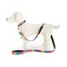 Betsey Johnson xox Trolls Leather Dog Pet Leash (Rainbow)