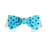 Pooch Outfitters Easton Bow Tie - Blue - Extra Large