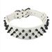 Dogs Kingdom Leather Black Spiked Studded Dog Collar 2 Wide 31 Spikes 52 Studdeds Pit Bull Boxer Collar